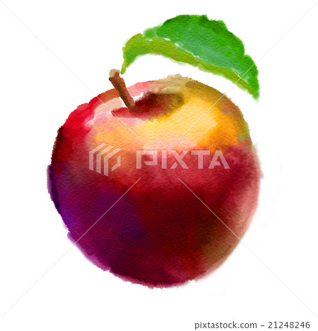 Image of watercolor apple Hand drawn picture Image of watercolor apple Hand drawn picture 21248246