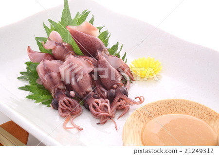 螢火蟲魷魚 螢火蟲魷魚 21249312