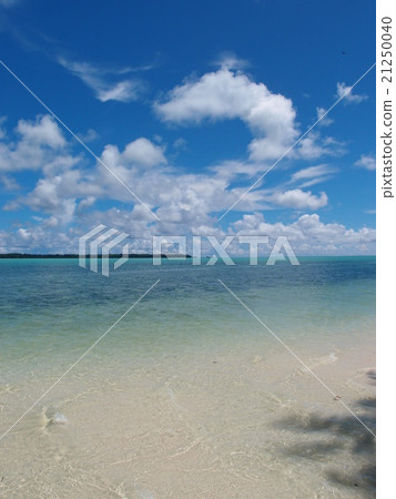 The sandy beaches of Palau / Karp Island and the blue sea and the blue sky The sandy beaches of Palau / Karp Island and the blue sea and the blue sky 21250040
