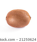Kiwi fruit isolated on white background 21250624