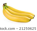 Bunch of bananas isolated on white 21250625