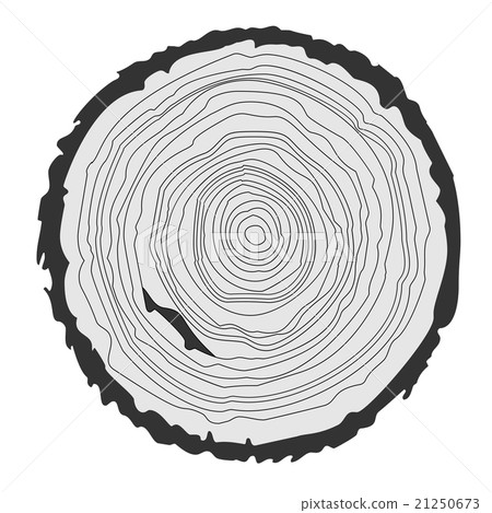 Conceptual background with tree-rings.  21250673