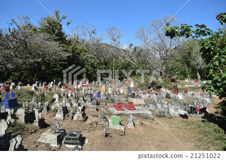The tomb village The tomb village 21251022