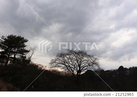 可怕的天氣 21252965