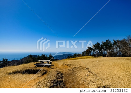 Hamaishidake(67) Hamaishidake(67) 21253182