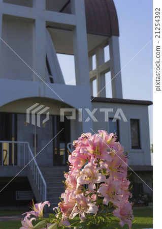 The lily flower of Hakodate St. John's church (a flower symbolizing the Virgin Mary) 21254392