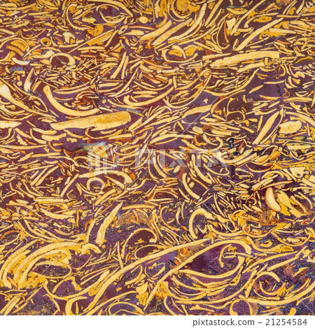 texture of natural gem stone Sea Fossil Jasper texture of natural gem stone Sea Fossil Jasper 21254584