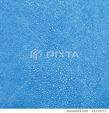 blue painted texture of stingray skin blue painted texture of stingray skin 21254771
