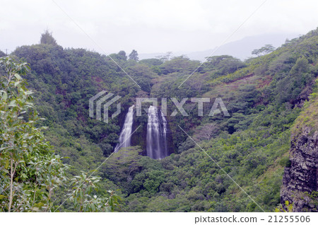 Opaeca waterfall, Kauai, Hawaii 21255506