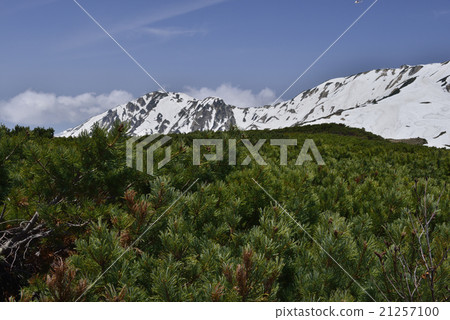 松山果山和立山山/富山縣立山 松山果山和立山山/富山縣立山 21257100