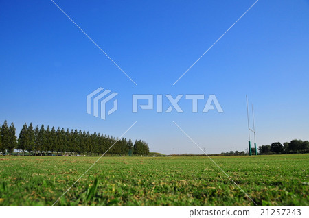 Grass and goals 21257243