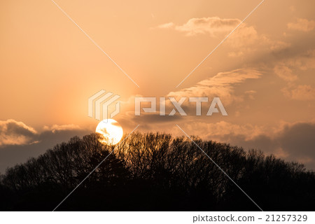 Luoyang on the beach 21257329