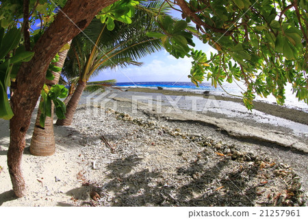 Uninhabited coast Uninhabited coast 21257961