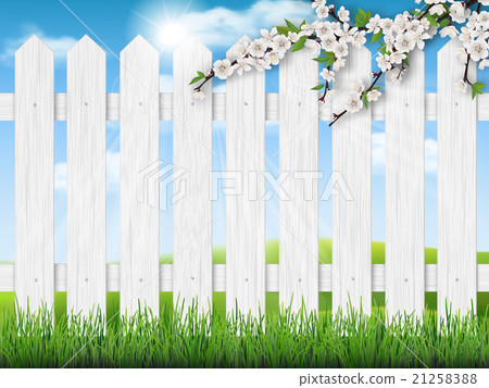 wooden fence spring tree grass - Stock Illustration [21258388] - PIXTA