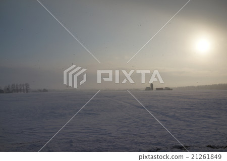 冬天十勝 21261849