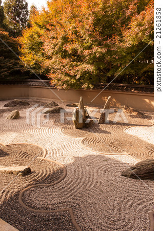 The garden of the autumn leaves of Okinawa in Kyoto 21261858