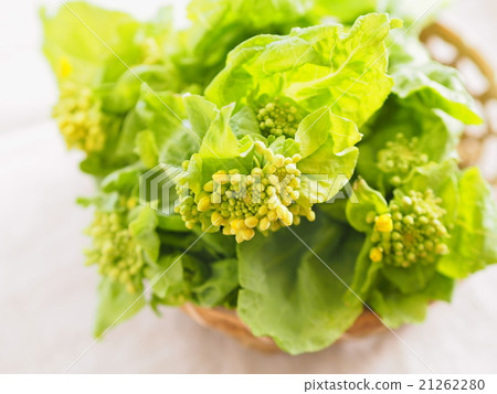 強姦開花 21262280