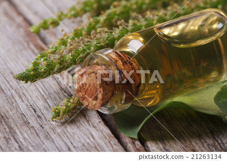 Extract of plantain in a glass bottle horizontal Extract of plantain in a glass bottle horizontal 21263134