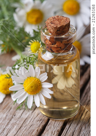 chamomile oil in a glass bottle macro vertical chamomile oil in a glass bottle macro vertical 21263168