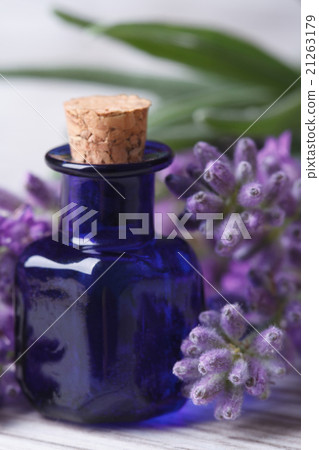 aromatic lavender oil vertical macro 21263179