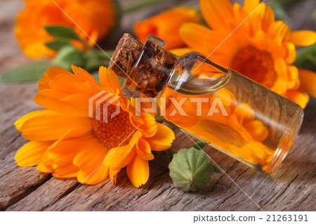 Calendula oil in a glass bottle on an old table Calendula oil in a glass bottle on an old table 21263191