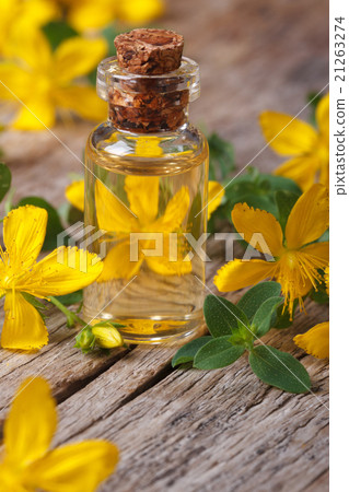 extract from the flowers of St. John's wort macro 21263274
