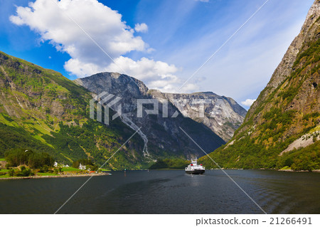 Fjord Sognefjord - Norway 21266491