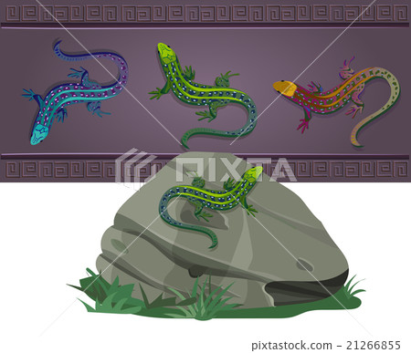 set of lizards of various colors set of lizards of various colors 21266855
