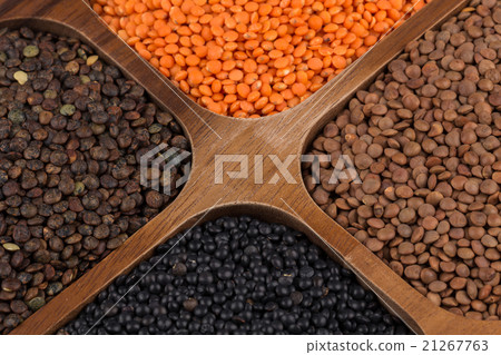 Four varieties of organic bio lentils 21267763