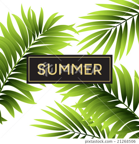 Tropical palm leaves design for text card. Vector Tropical palm leaves design for text card. Vector 21268506