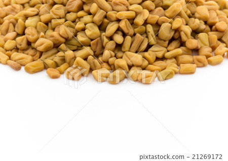 胡蘆巴(Mechishide):胡蘆巴(methi) 胡蘆巴(Mechishide):胡蘆巴(methi) 21269172