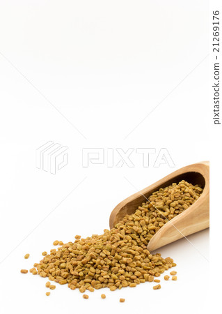 Fenugreek (Mechishide): Fenugreek (methi) 21269176