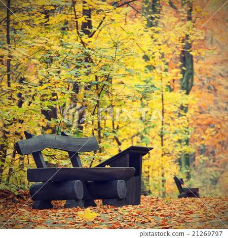 bench in the autumn park, vintage look bench in the autumn park, vintage look 21269797