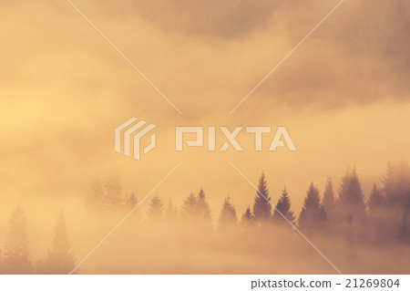 Beautiful misty morning in mountains Beautiful misty morning in mountains 21269804