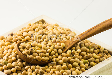 closed up dried soybean closed up dried soybean 21271190