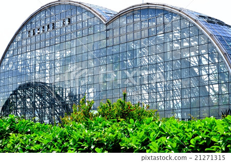 Yume no Island Tropical Botanical Gallery 21271315