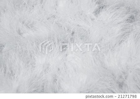 fluffy, lumpy, shaggy - Stock Photo [21271798] - PIXTA