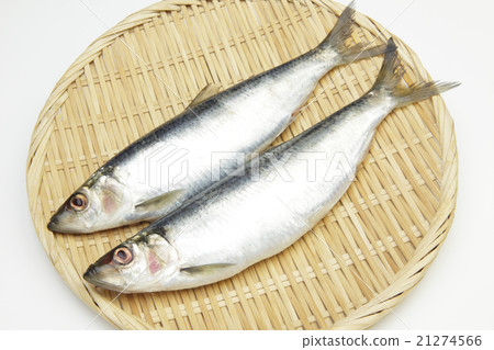 北海道生產鯡魚 21274566