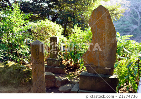 Fukushima Enoshima 21274736