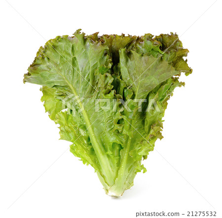 Lettuce isolated on white background 21275532