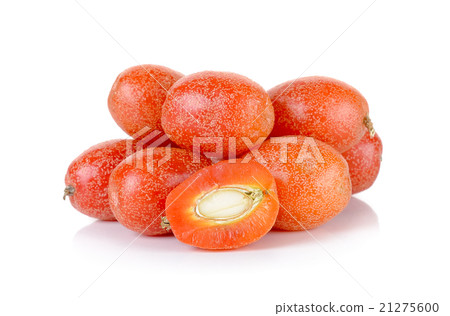 croton tiglium isolated on the white background 21275600