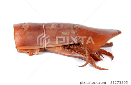 Soak squid isolated on the white background 21275895