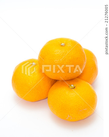 溫州橘子 溫州橘子 21276005