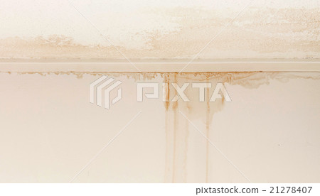 Water damaged ceiling and wall 21278407