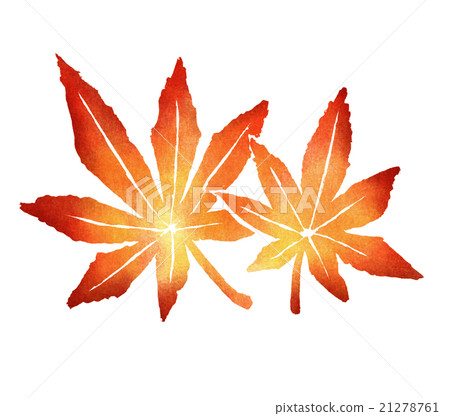 Autumn leaves illustration 21278761