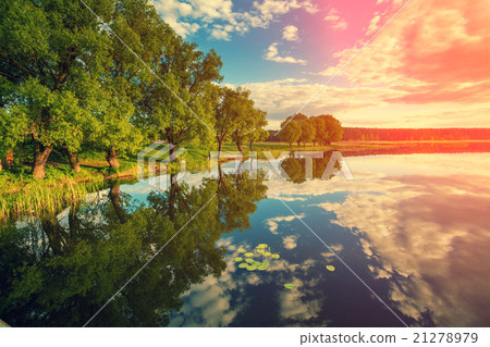River bank with trees at sunset River bank with trees at sunset 21278979
