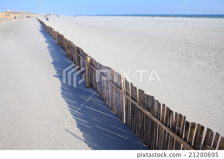 Nakadashima sand dunes sedge fence 21280695