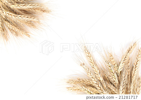 Barley frame 21281717