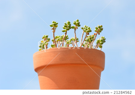 Towards the sky Towards the sky 21284562