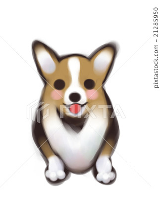 狗狗 狗狗 21285950